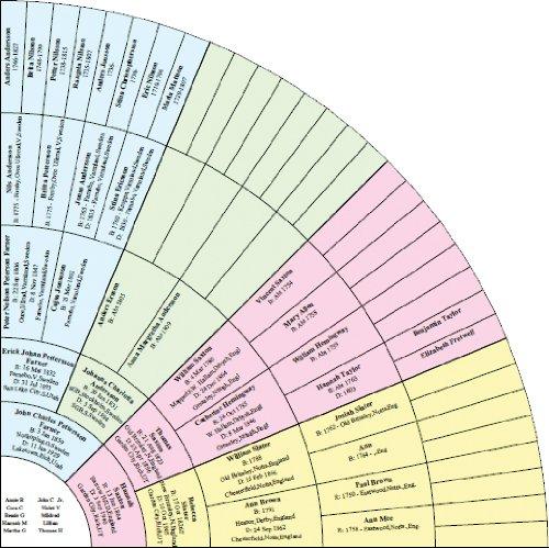 Discovering Our Roots: A Review of Family Tree Heritage Gold