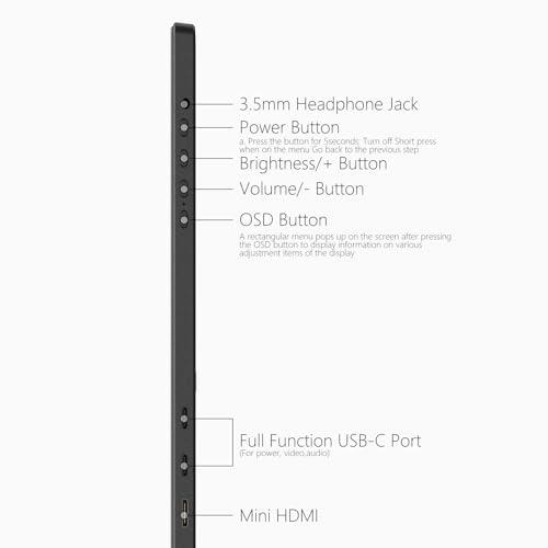 Comprehensive review of the Anyuse 15.6 Inch Portable Monitor